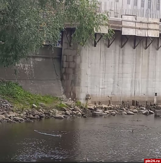 «Кидают булыжники в уток и орут матом»: псковичи обсуждают досуг строителей Троицкого моста