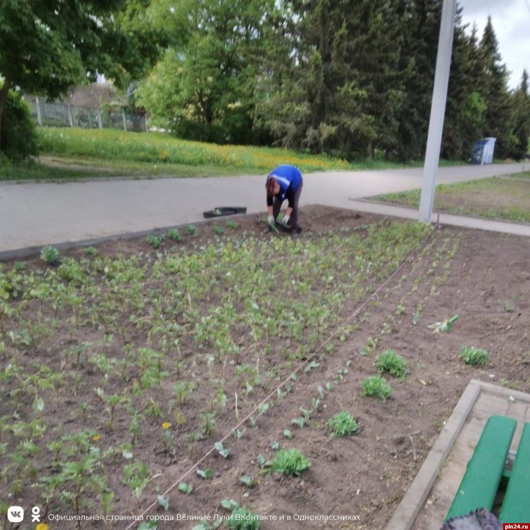 Коммунальные службы продолжают благоустройство улиц Великих Лук |  22.05.2023 | Псков - БезФормата