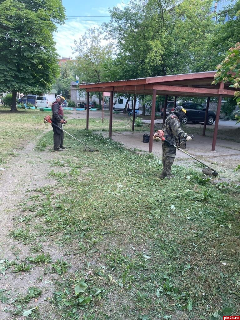 Управляйки» Великих Лук отчитались о работе за 16 июня | 16.06.2023 | Псков  - БезФормата