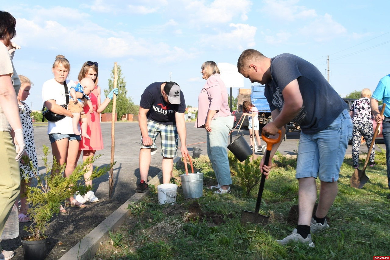 Проект посади дерево