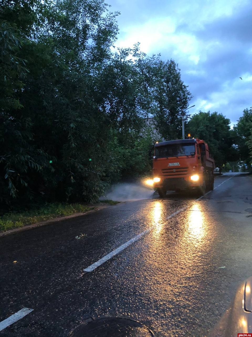 Цветы продолжают высаживать на городские клумбы в Великих Луках |  03.07.2023 | Псков - БезФормата