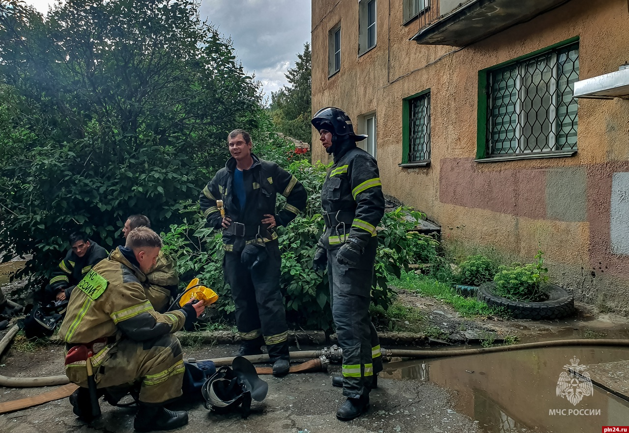 Обедающую кверху попой куницу сняли на видео в Хоперском заповеднике