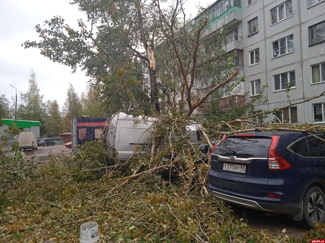 Оборванные провода и поваленные деревья: последствия непогоды в Псковской  области обсуждают в Сети | 08.10.2023 | Псков - БезФормата