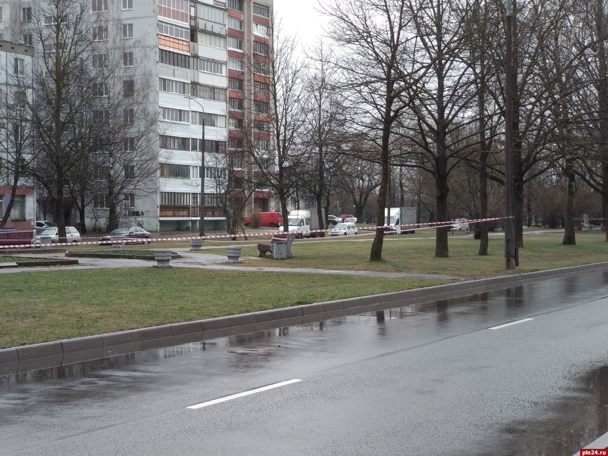 Фотофакт: Сиреневый бульвар оградили от гуляющих | 15.04.2020 | Псков -  БезФормата