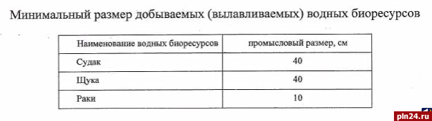 можно ли ловить рыбу на чудском озере. Смотреть фото можно ли ловить рыбу на чудском озере. Смотреть картинку можно ли ловить рыбу на чудском озере. Картинка про можно ли ловить рыбу на чудском озере. Фото можно ли ловить рыбу на чудском озере