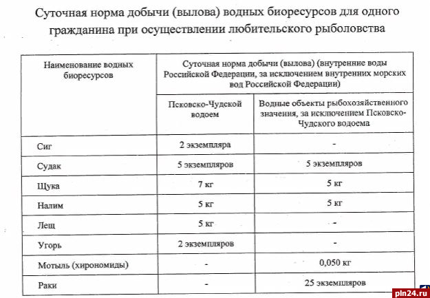 можно ли ловить рыбу на чудском озере. Смотреть фото можно ли ловить рыбу на чудском озере. Смотреть картинку можно ли ловить рыбу на чудском озере. Картинка про можно ли ловить рыбу на чудском озере. Фото можно ли ловить рыбу на чудском озере