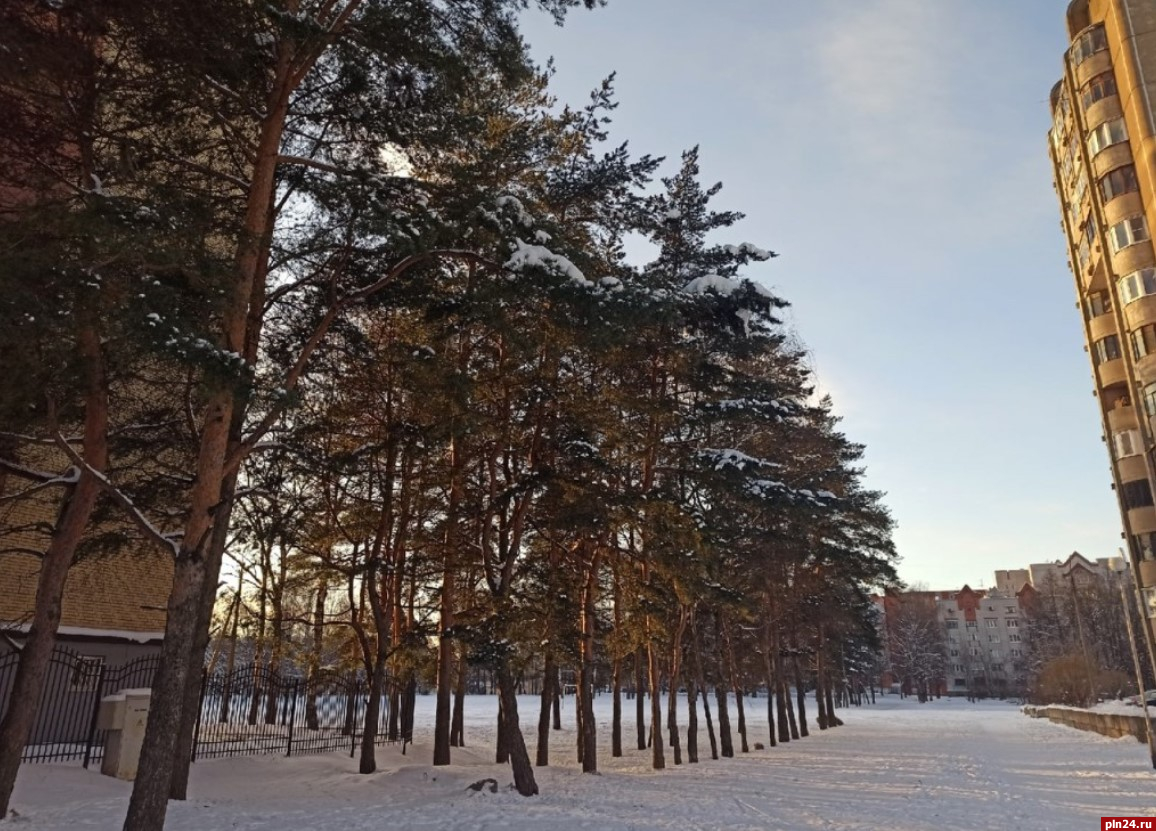 Лыжная база Сосенка Псков