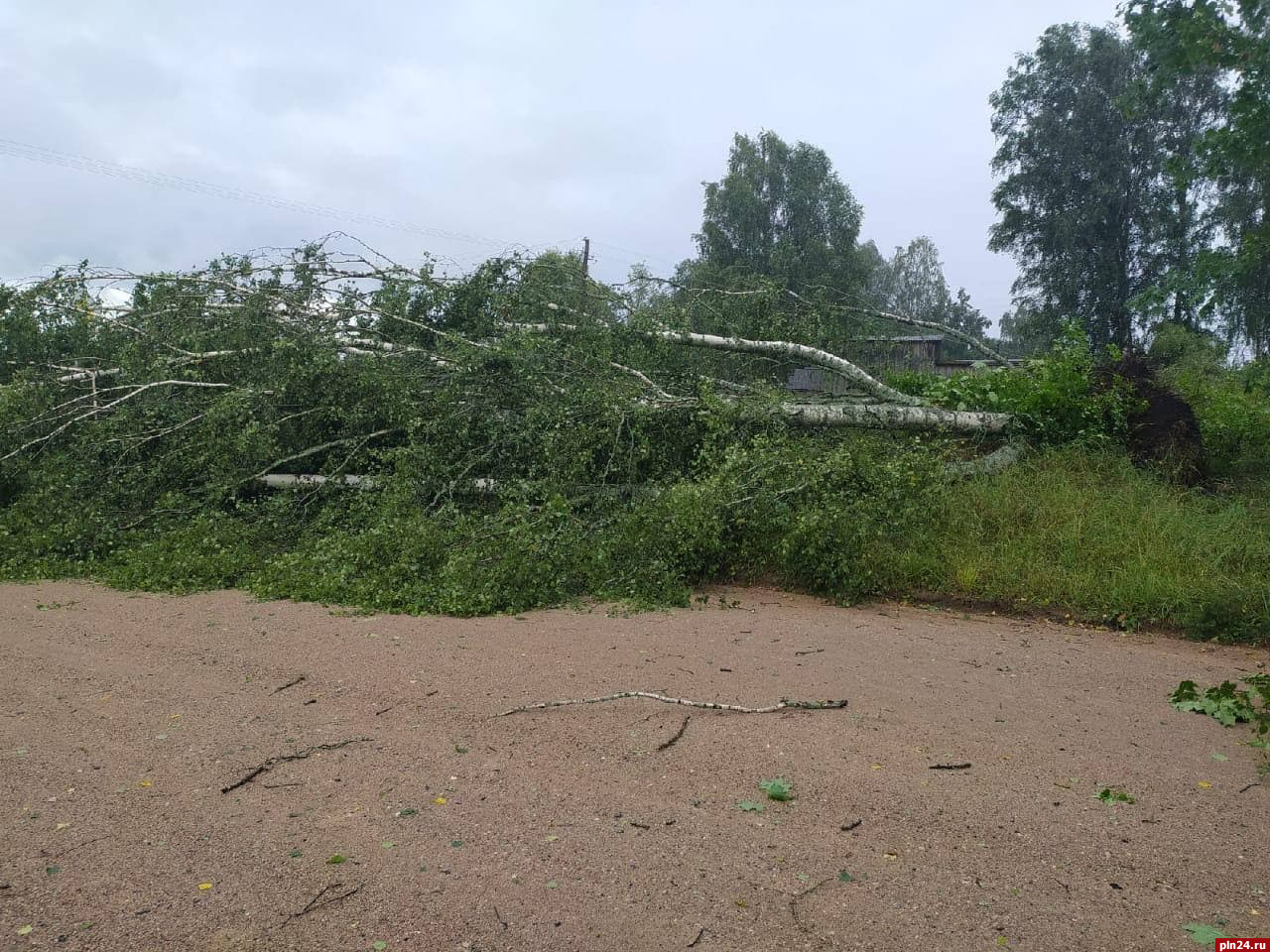 Смерч во пскове. Псков непогода. Непогоду 3.