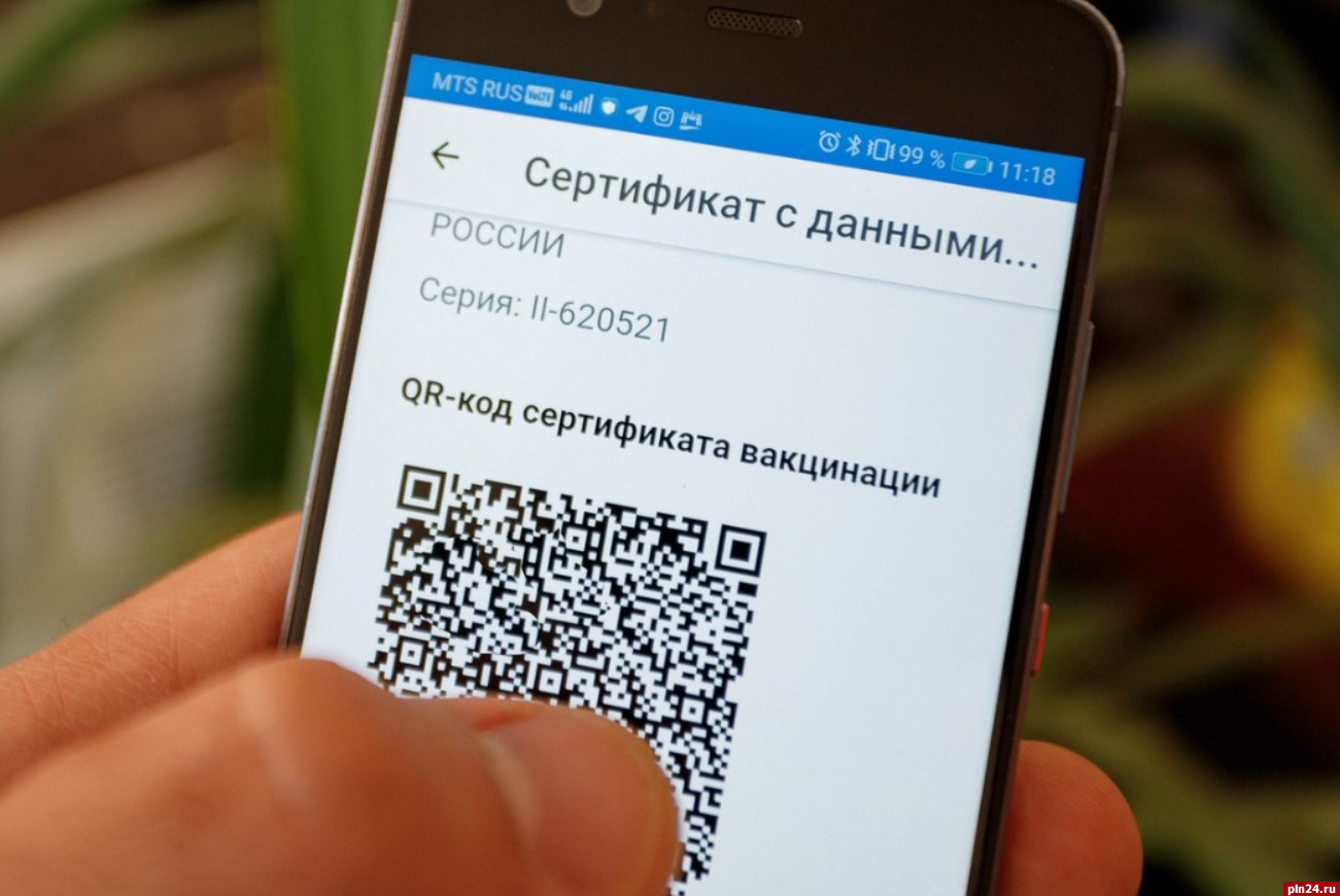 Создать qr код телеграмма фото 116