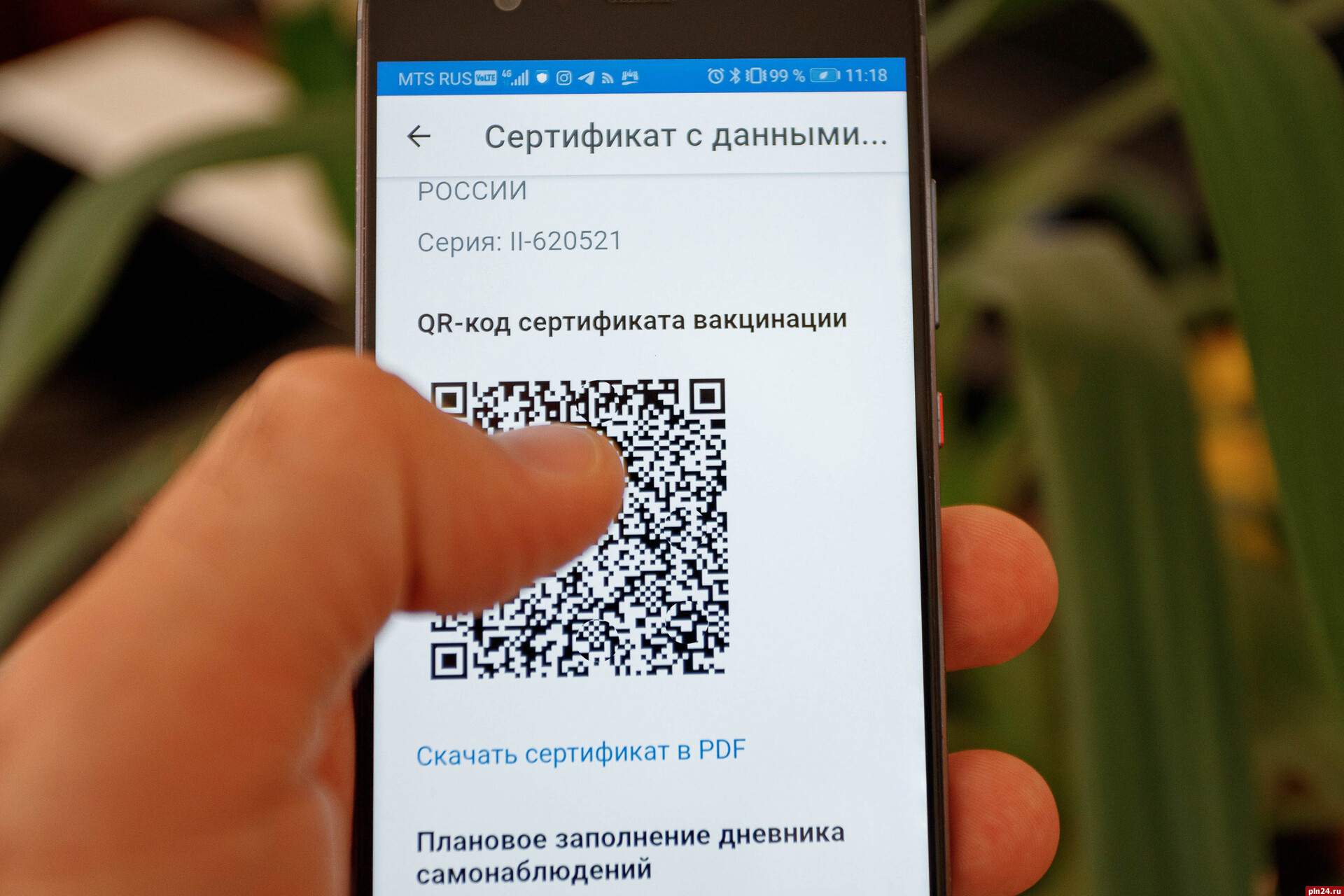 Создать qr код телеграмма фото 81