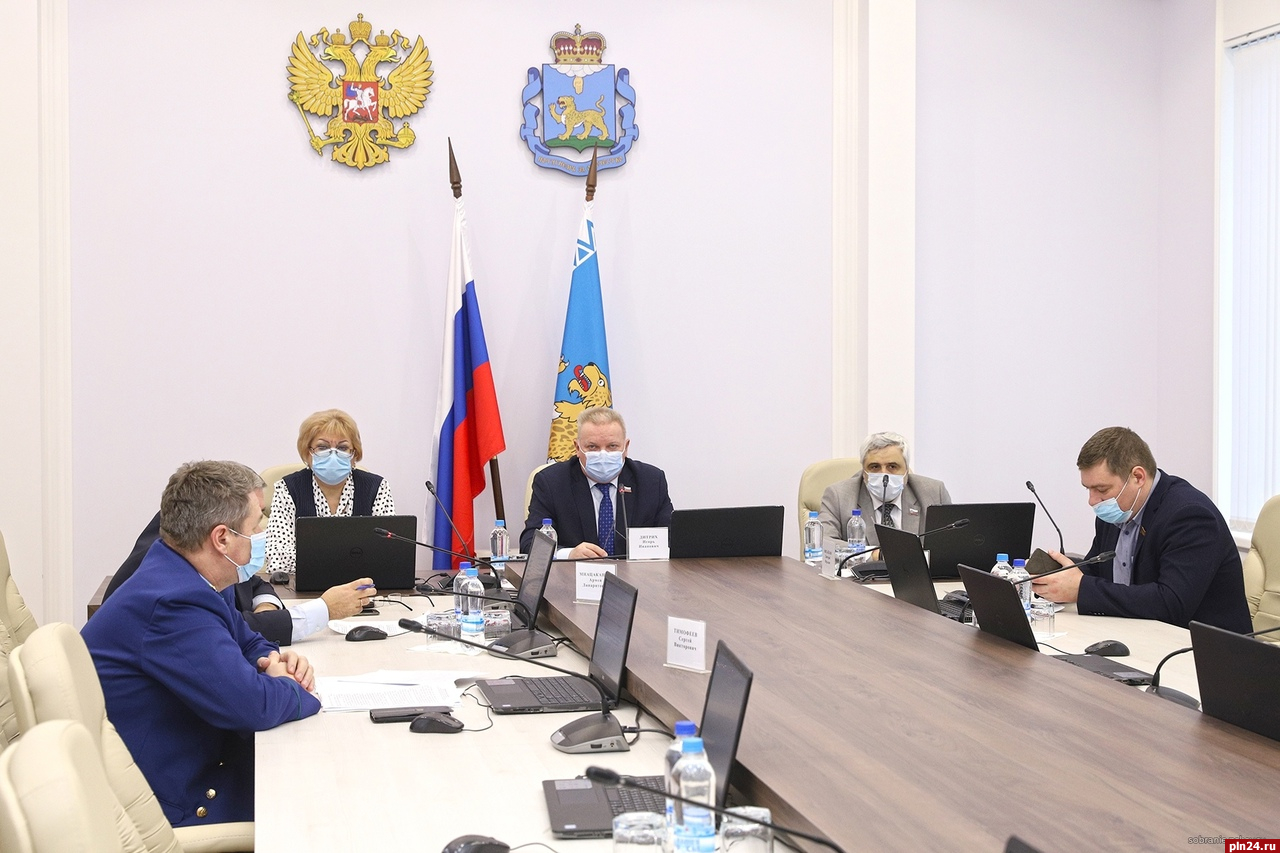 Создание в Псковской области безбарьерной среды обсудил парламентский комитет
