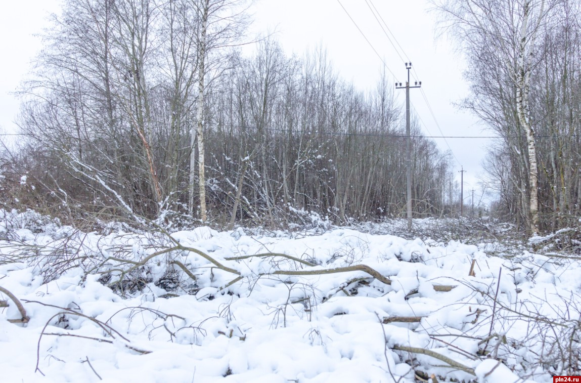 В Псковской области возможны нарушения энергоснабжения из-за непогоды