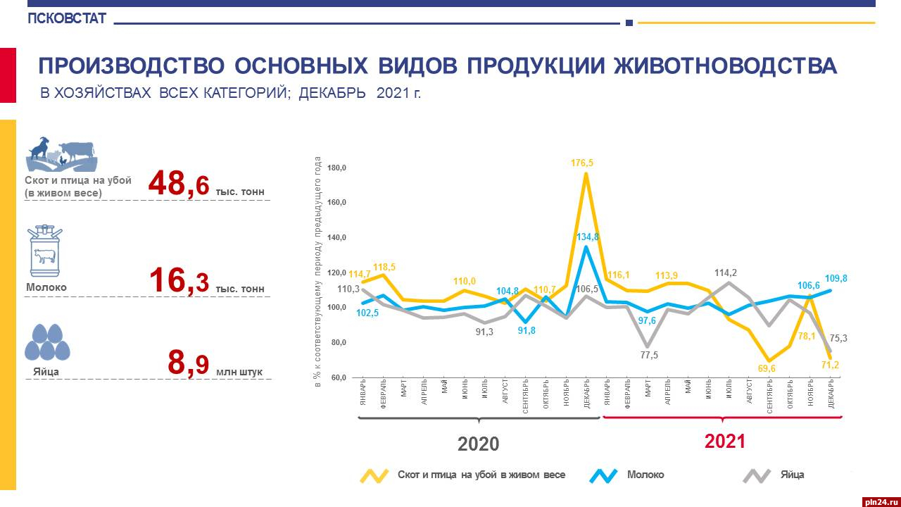 Производство яиц сократилось в Псковской области