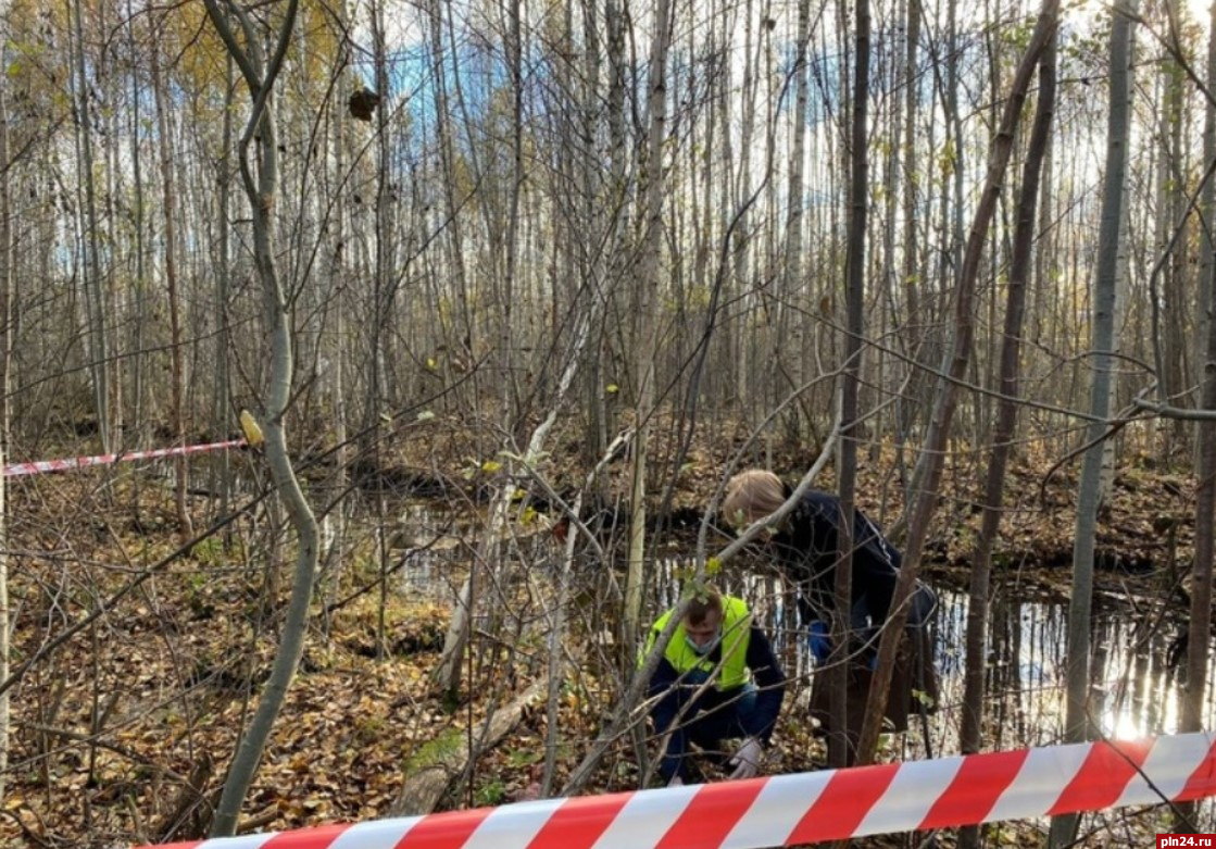 Псковичка предстанет перед судом за убийство новорожденной девочки