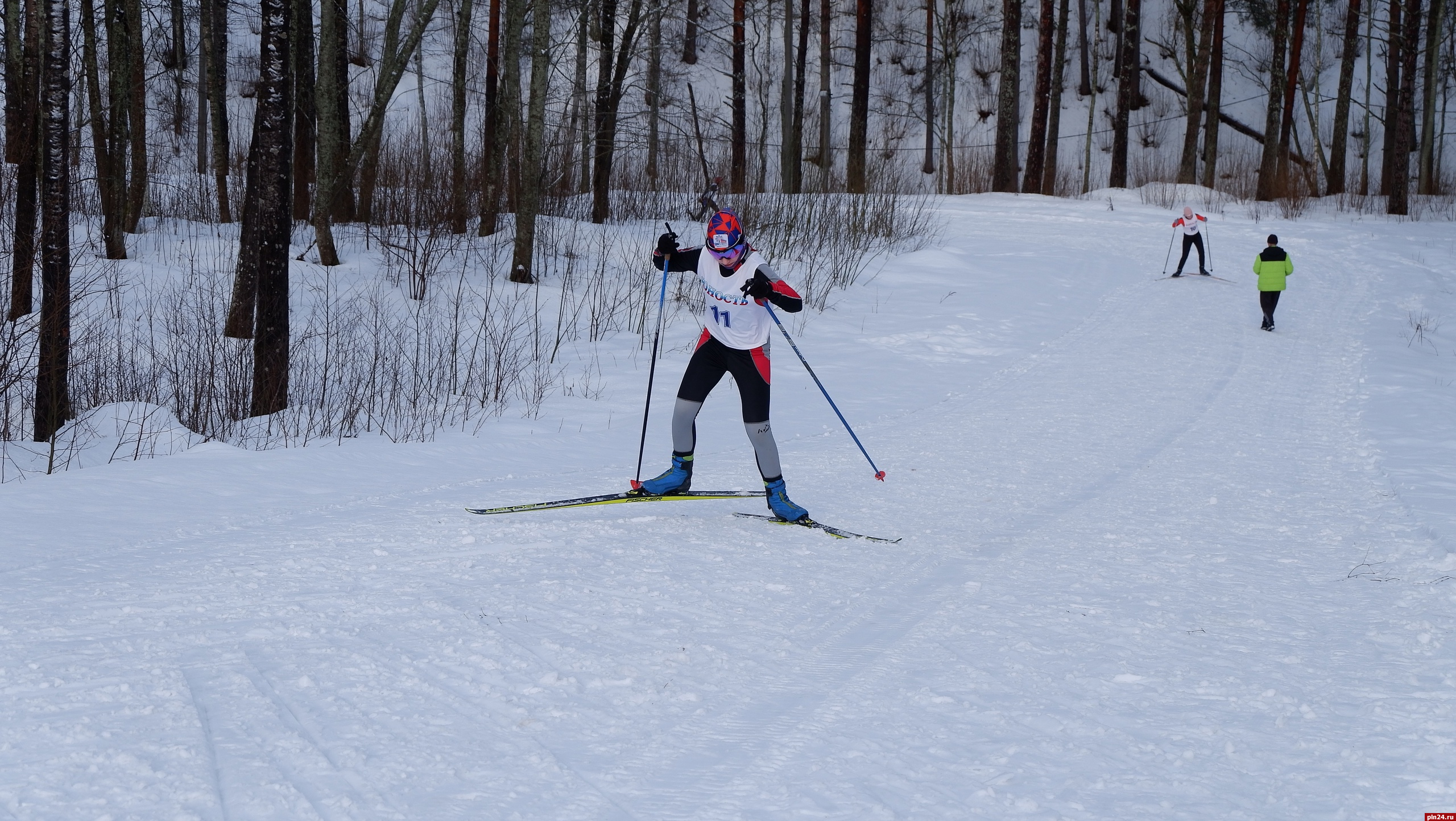 Чемпионат Псковской области среди лыжников-гонщиков собрал сильнейших спортсменов