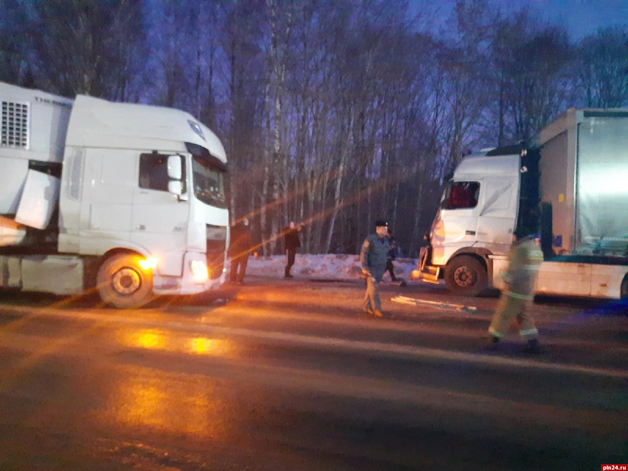 Две фуры столкнулись на трассе в Псковской области. ФОТО