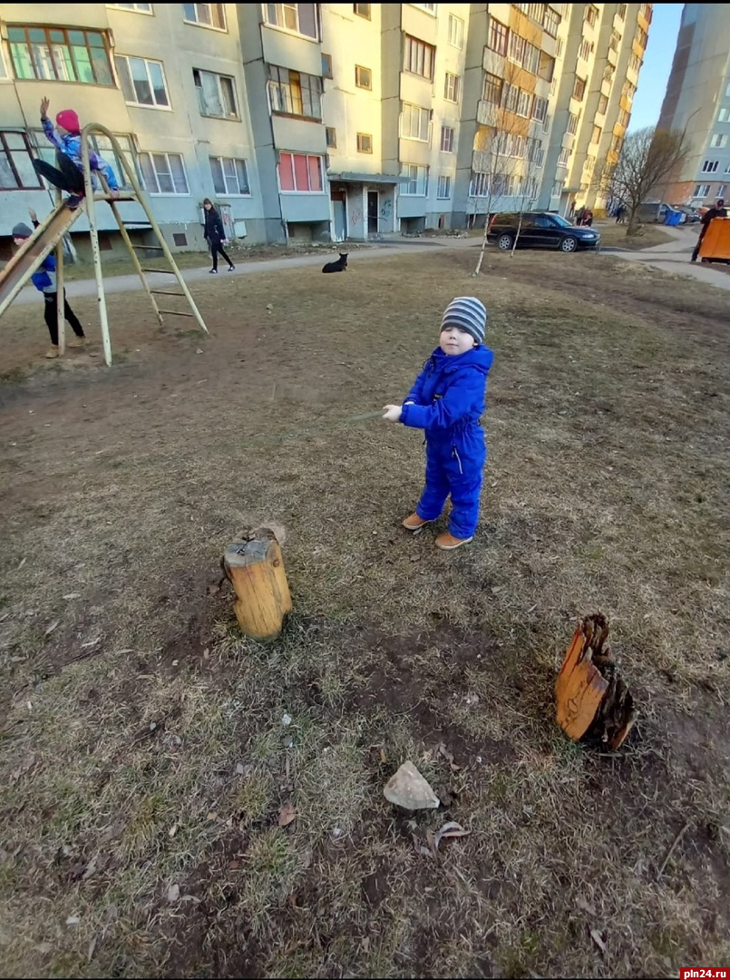 Псковичка просит власти убрать пни с гвоздями с детской площадки
