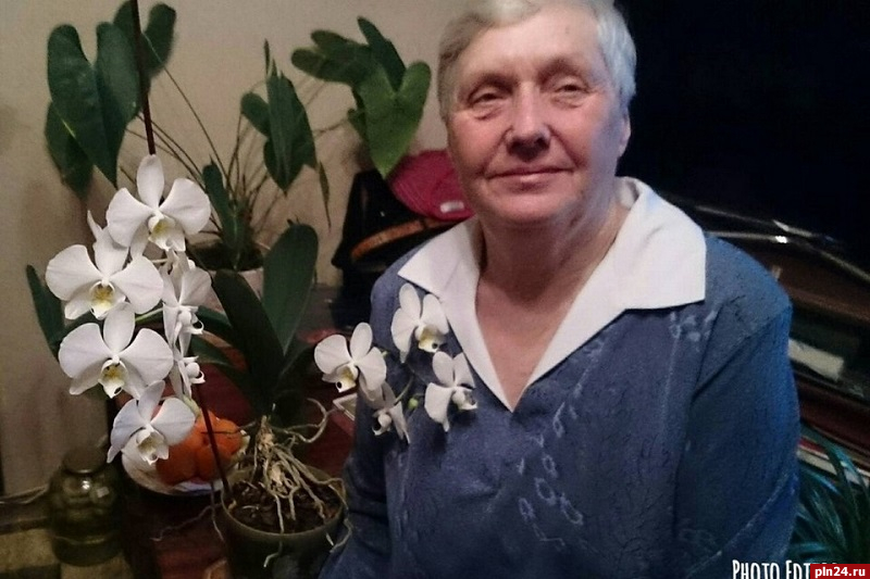 Страдающую потерей памяти женщину продолжают искать в Псковском районе