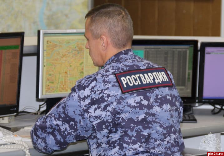 За неделю у жителей Псковской области изъяли шесть единиц оружия