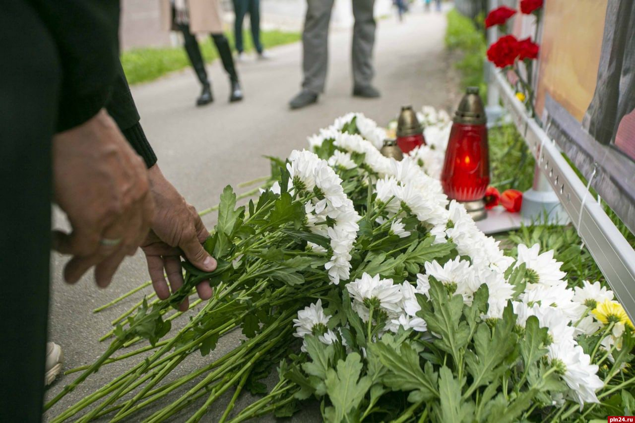 В Пскове поддержали акцию в защиту мемориала Освободителям в Риге