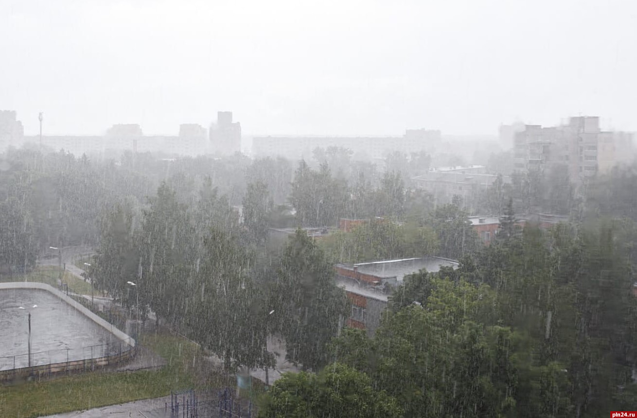 Прохладную и дождливую неделю обещают синоптики жителям Северо-Запада России