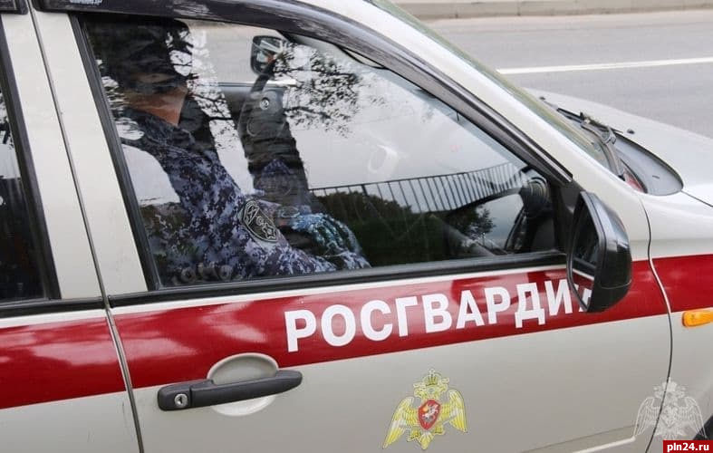 Псковские росгвардейцы изъяли четыре единицы оружия