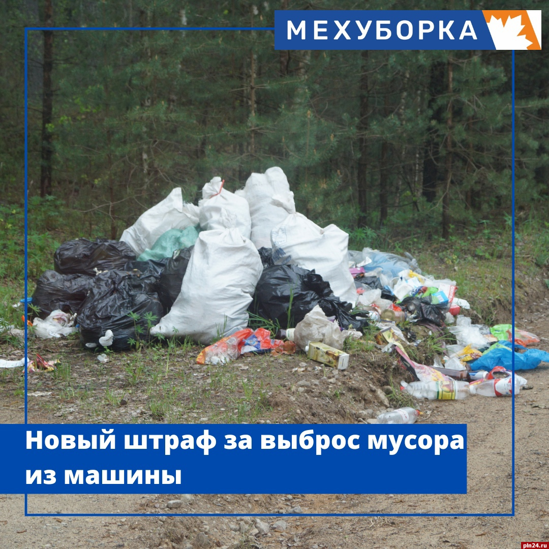 В России разрешили конфискацию машин за выброшенный на дорогу мусор