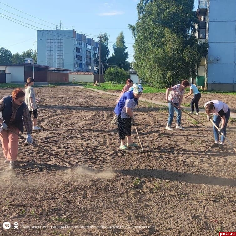 Проекты благоустройства в селе. Деревня Тямша. Стадион в деревне Тямше. Тямша Псковская область.