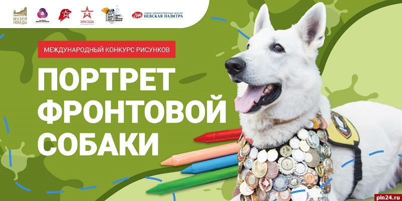 Рисунки псковичей участвуют в международном конкурсе о подвигах собак