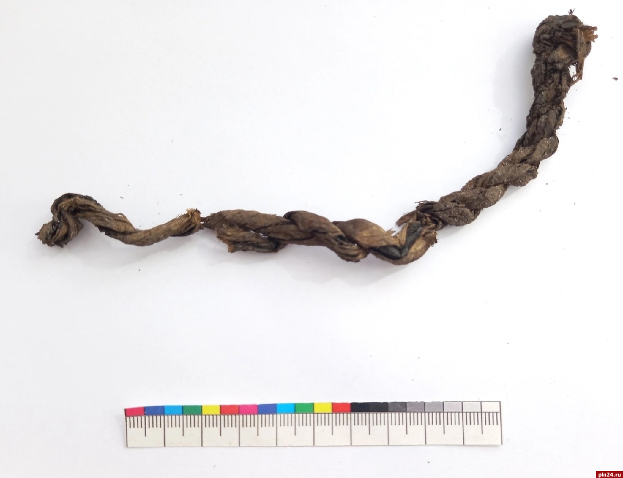 Кусок веревки из лыка нашли в «мокром» раскопе в Печорах