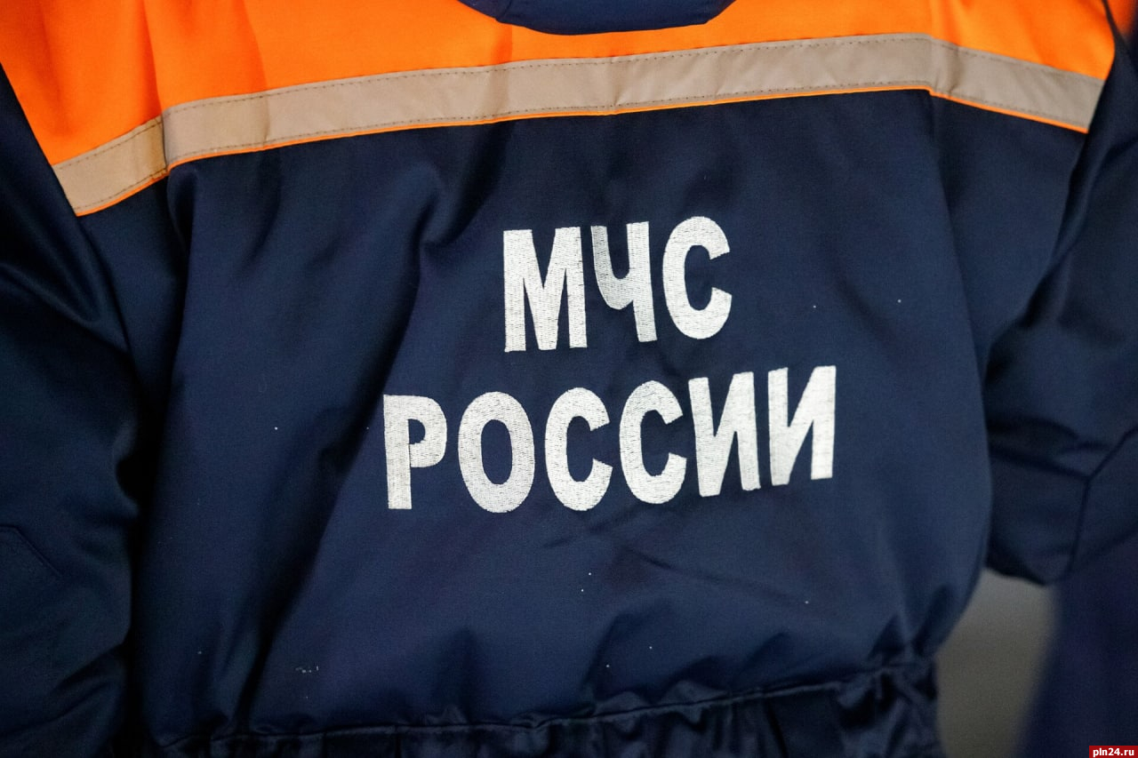 Три артиллерийских снаряда нашли в Псковском и Палкинском районах