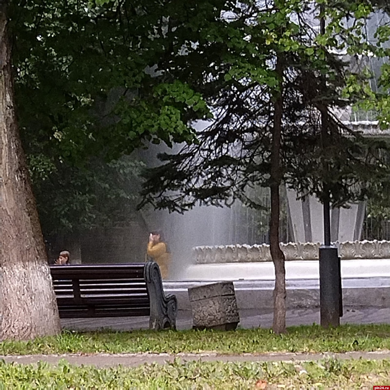 «Видно, дома воду отключили»: псковичка залезла в фонтан в Ботаническом саду