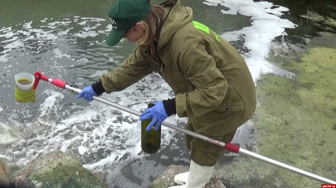 Росприроднадзор назвал возможную причину мора рыбы в реке Шелонь у Порхова