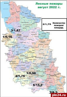 В Псковской области за август зарегистрировали 15 лесных пожаров