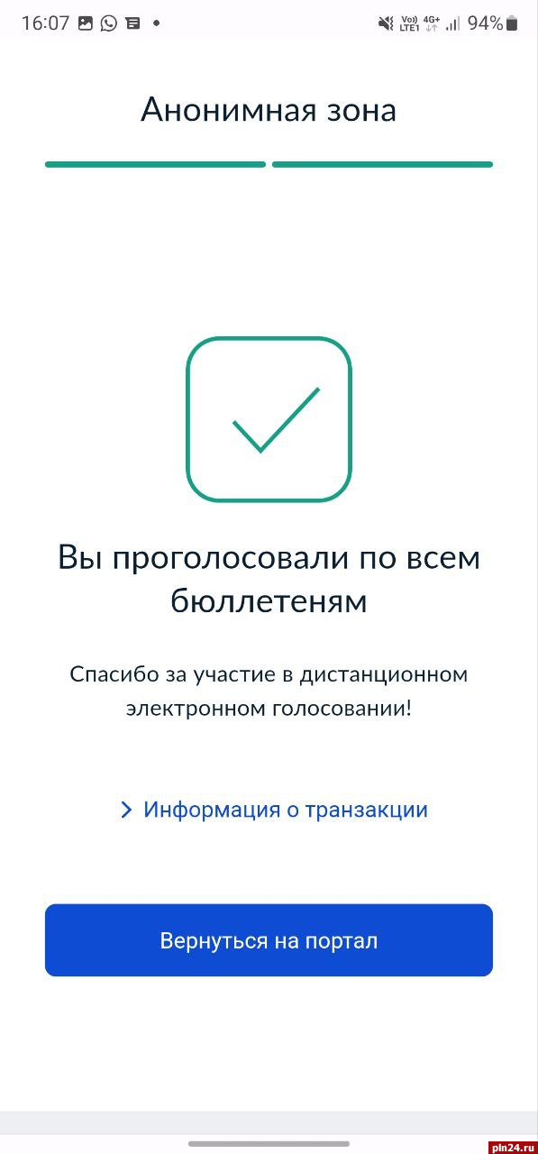 Борис Елкин проголосовал с помощью ДЭГ на выборах в Псковскую гордуму