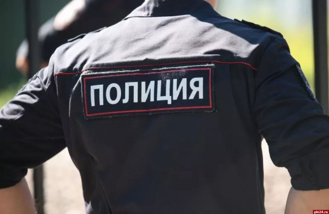 Подростковая преступность в Пскове станет темой брифинга в пресс-центре ПЛН