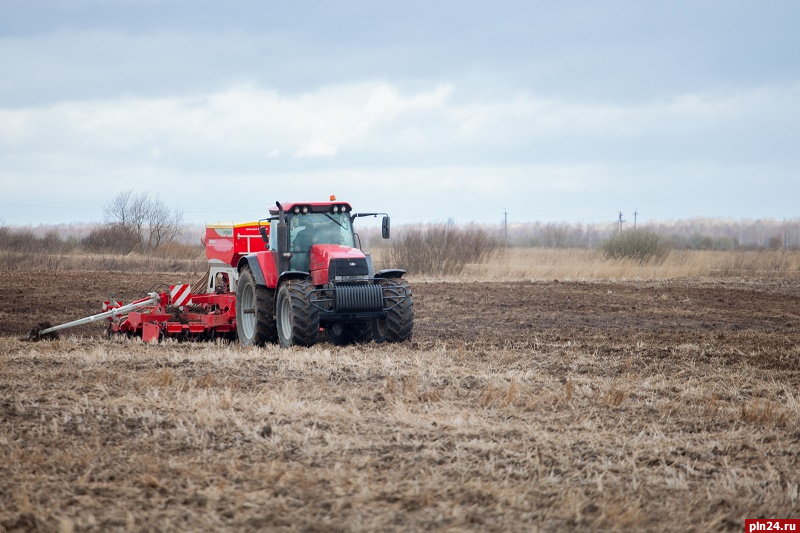 Правительство РФ планирует упростить контроль муниципалитетов над брошенными сельхозземлями