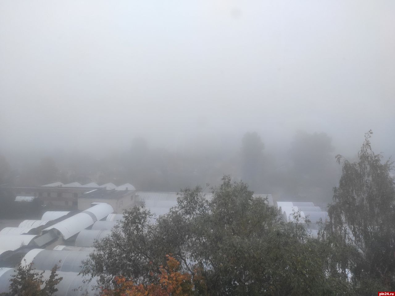 Фотофакт: Густой туман опустился на Псков