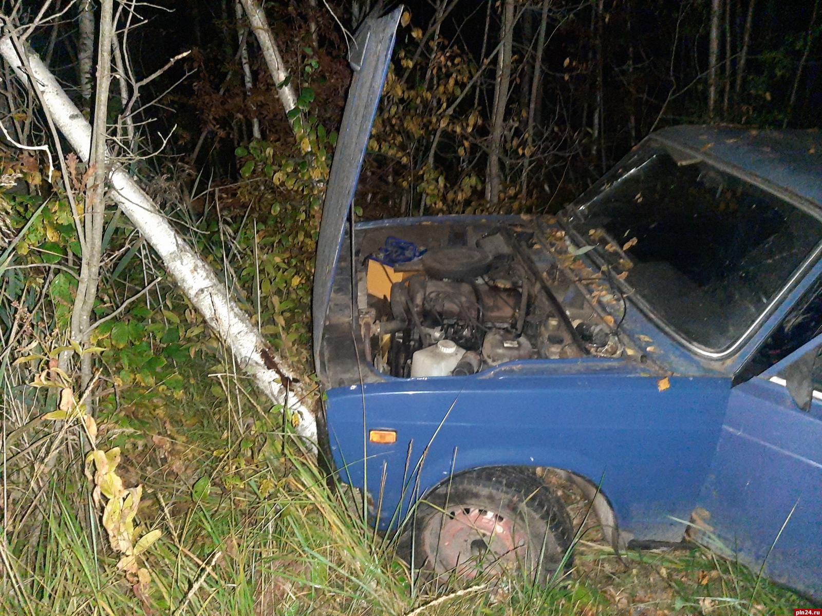 Водитель и пассажир пострадали в результате съезда автомобиля в Псковской области