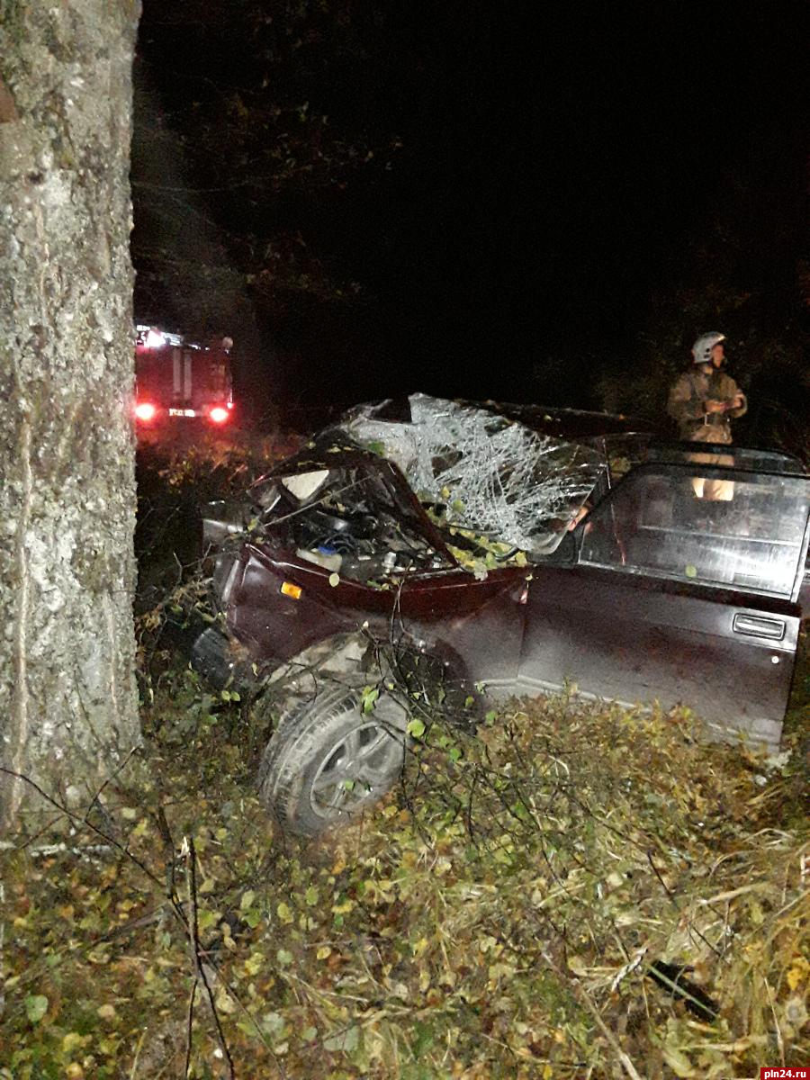 16-летний водитель уснул за рулем и врезался в дерево в Плюсском районе