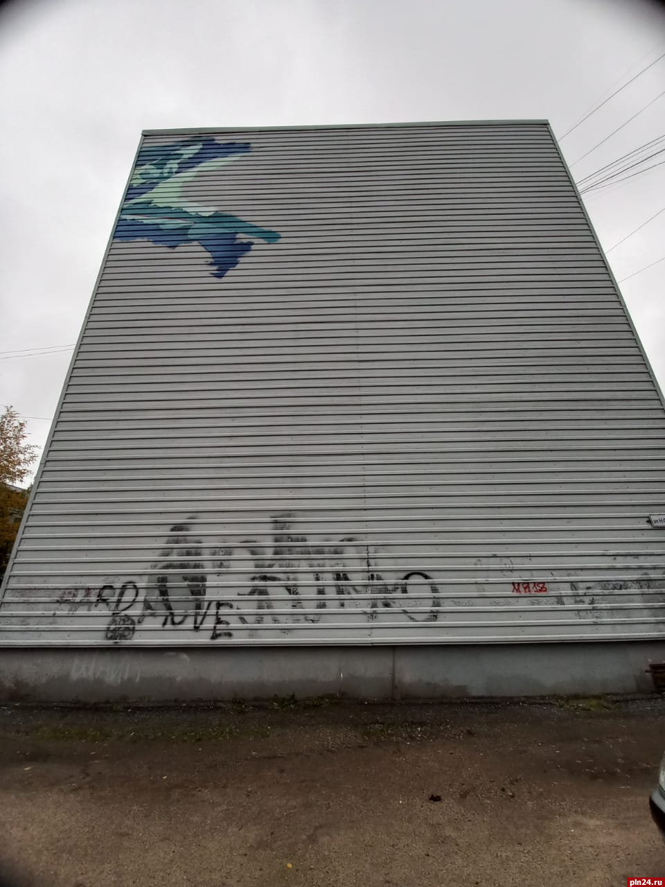 Штрихи будущей картины появились на одном из домов на Запсковье