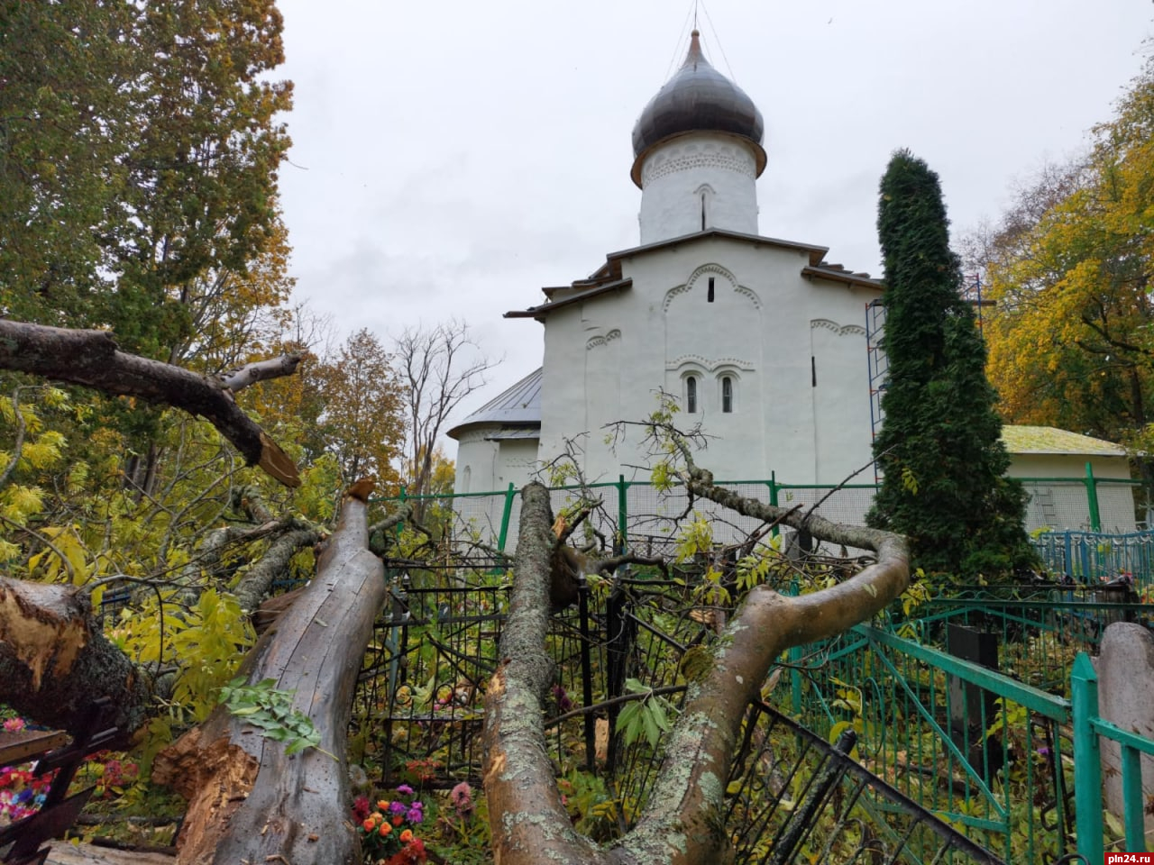 Сильный ветер повалил деревья на Мелетовском кладбище в Псковском районе