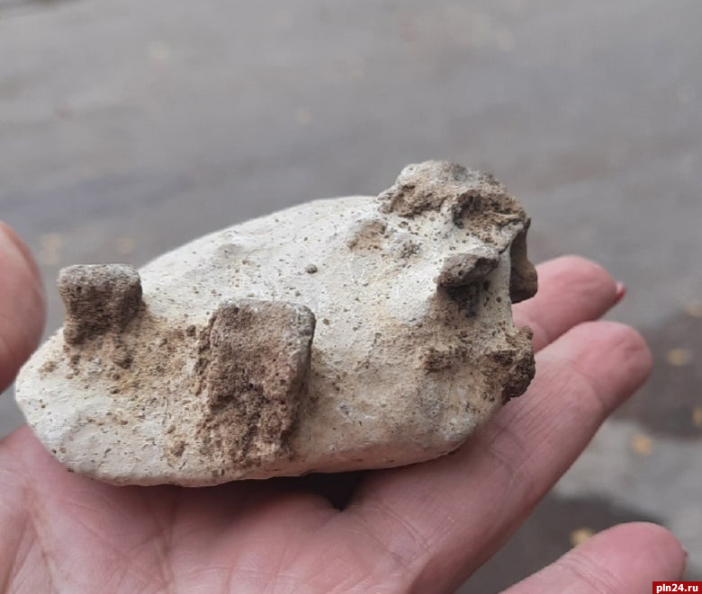 Редкий минерал обнаружили в Дновском районе. ФОТО