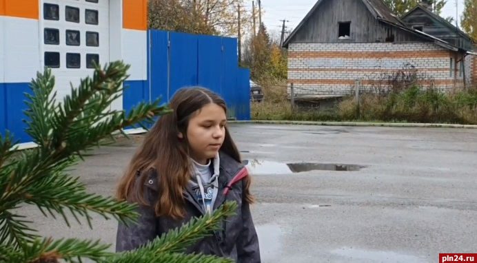 Спасшую от пожара троих человек 13-летнюю псковичку наградят в Совете Федерации