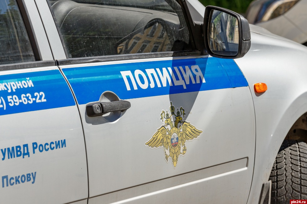 Троих жителей Новосокольников подозревают в краже металлических раковин