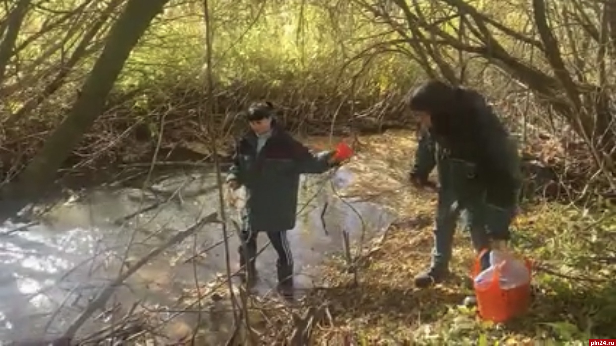 Новосокольническое предприятие наказали за сброс в реку неочищенных сточных вод