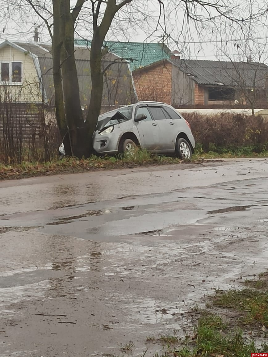 Автомобиль влетел в дерево в деревне Родина Псковского района