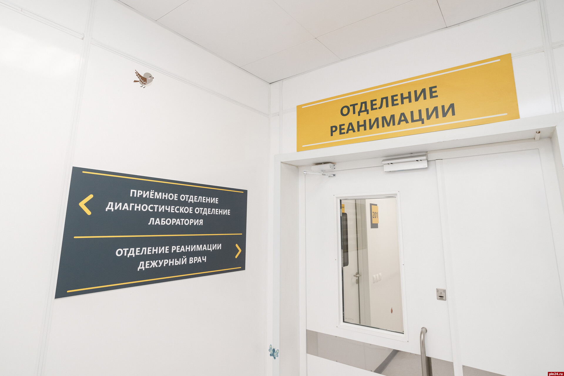 20 новых случаев заражения коронавирусом выявили в Псковской области
