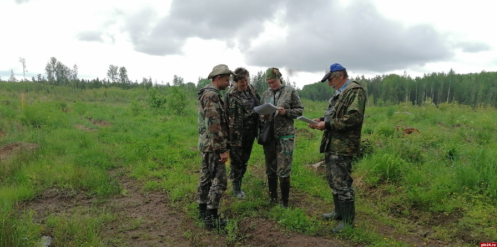 Инвентаризацию фонда лесовосстановления провели в двух районах Псковской области