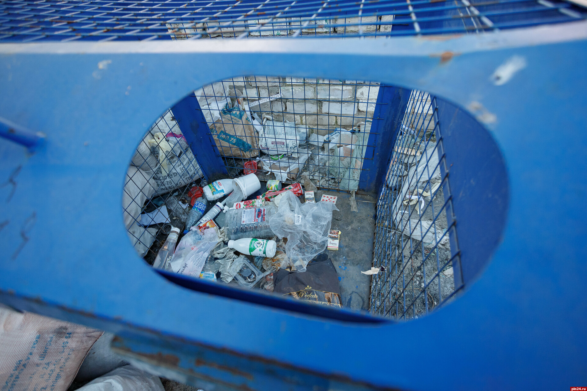 Псковичей предупредили о штрафах за складирование строительного мусора в контейнер у дома